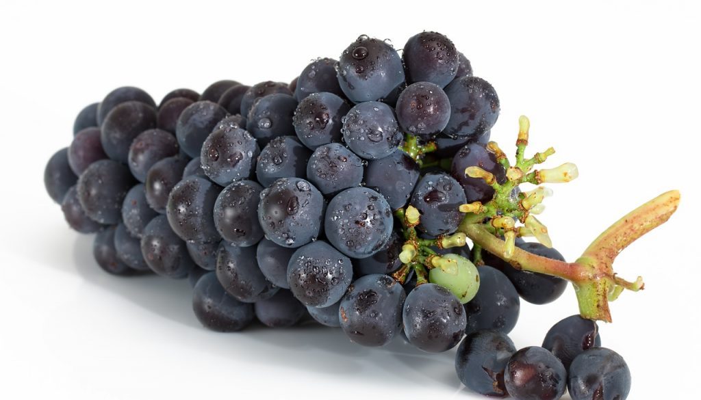 grapes-2032838_1280